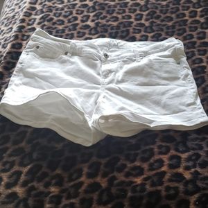 Torrid shorts